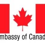 venustranslation-services--9